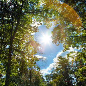 操河南美女老太婆屄
